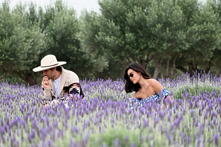 Safari Tents (Mexico, Dolores Hidalgo Cuna de la Independencia Nacional, Guanajuato)