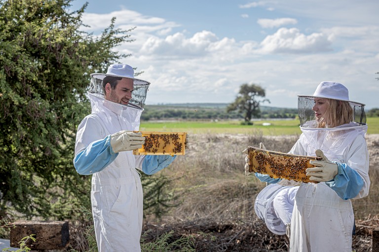 Safari Tents (Mexico, Dolores Hidalgo Cuna de la Independencia Nacional, Guanajuato)