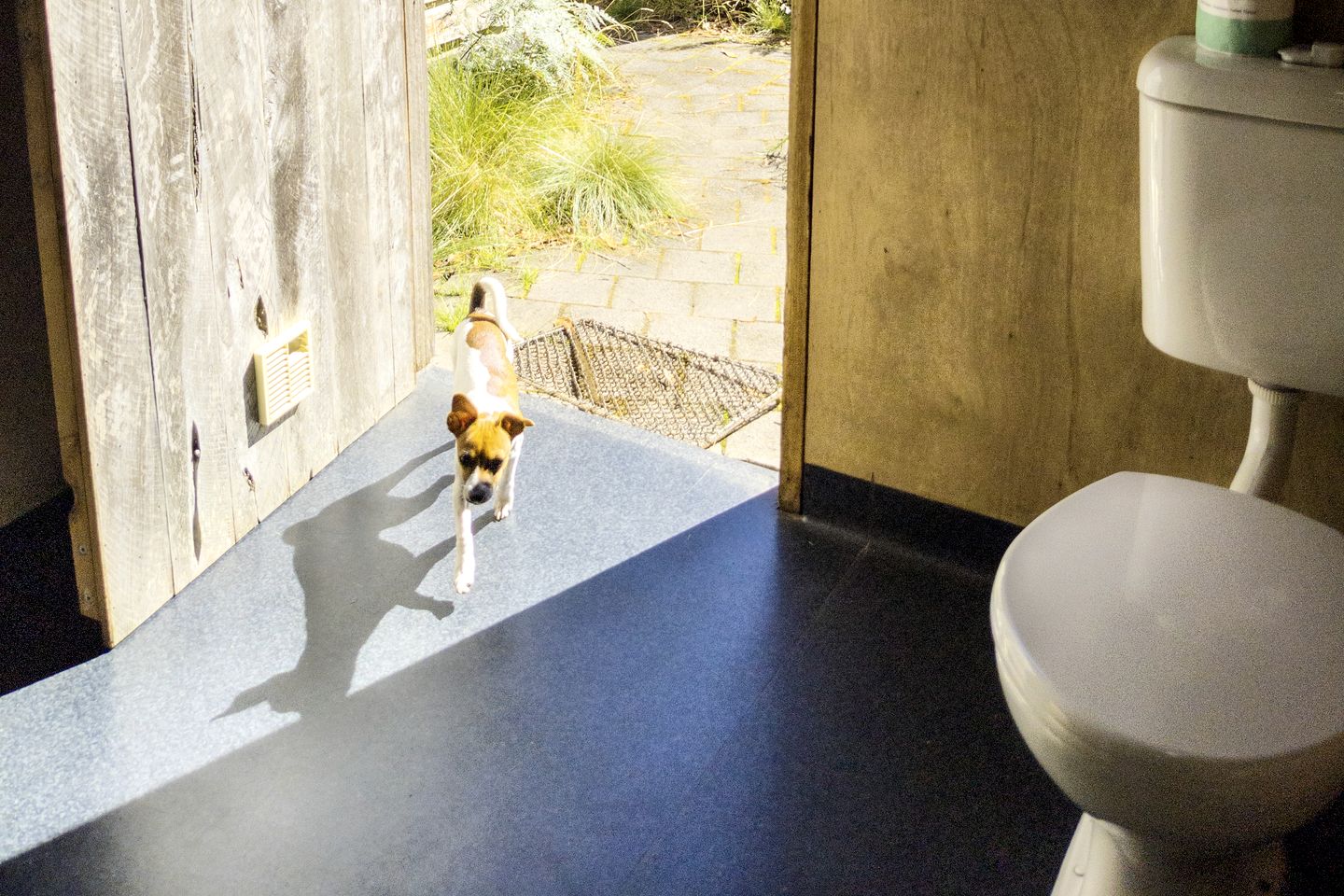 Cozy Hut Perfect for Outdoor Adventure Seekers in Branxholm, Tasmania