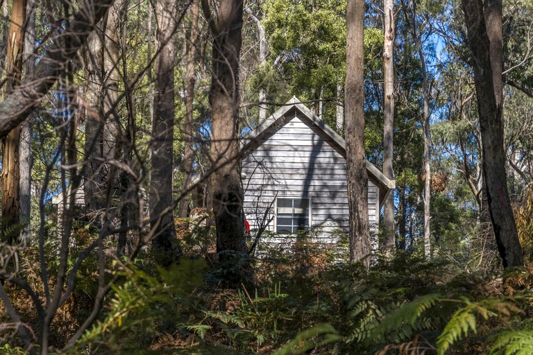 Cozy Hut Perfect for Outdoor Adventure Seekers in Branxholm, Tasmania