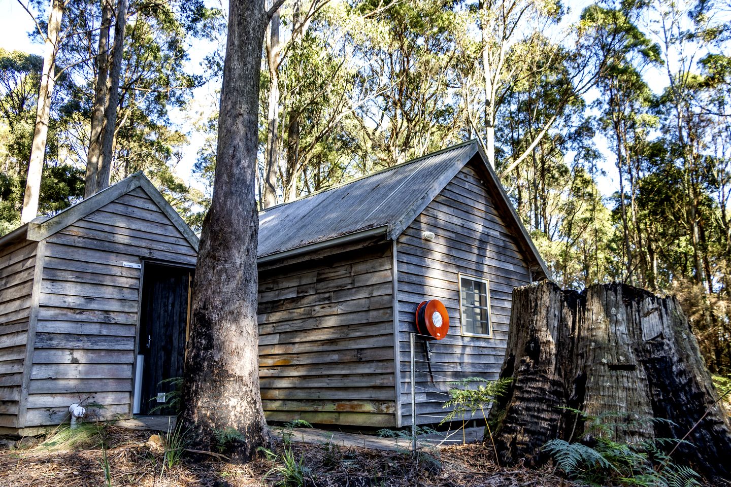 Cozy Hut Perfect for Outdoor Adventure Seekers in Branxholm, Tasmania