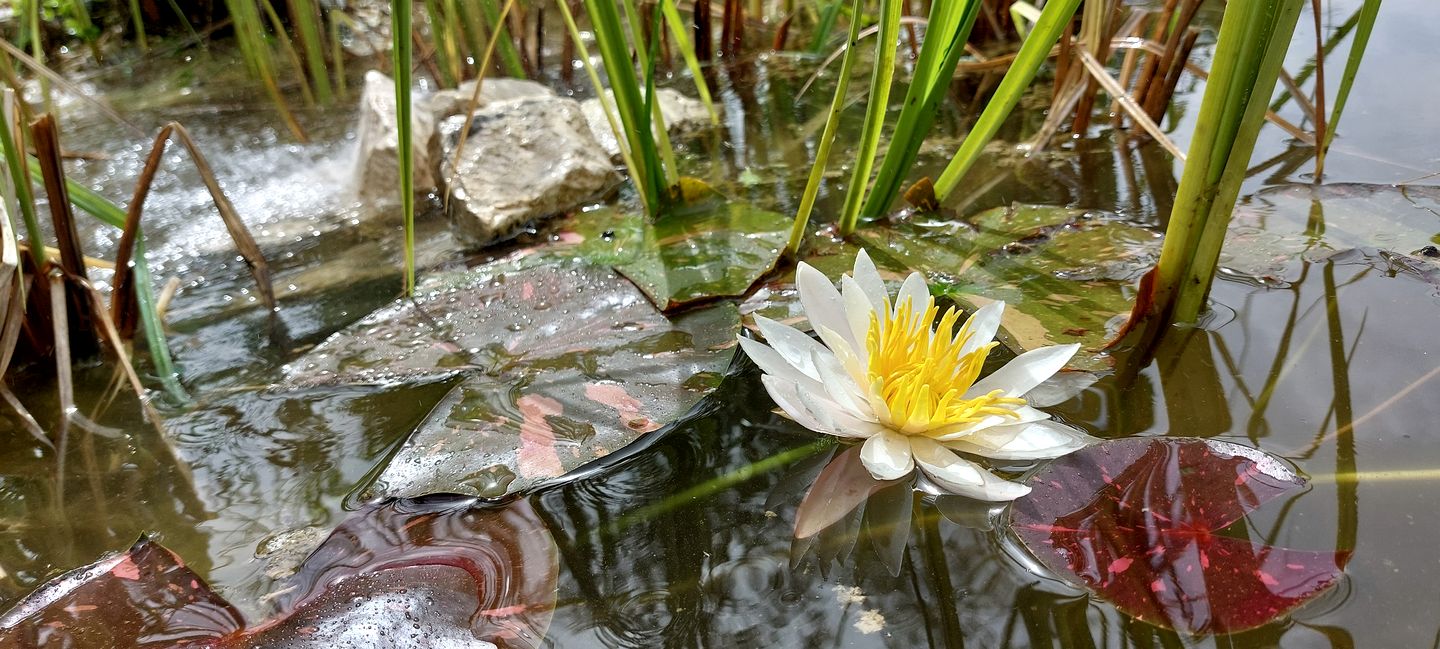 Cozy Traditional Yurt on a Sustainable Farm with Amazing Views for Glamping near Rome, Italy