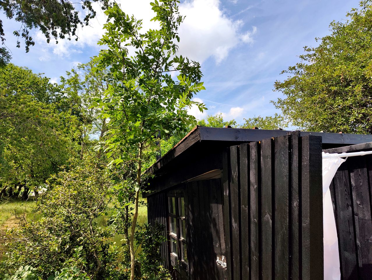 Unique Pod on a Biodynamic Farm for a Peaceful Getaway in Nature in Bornholm, Denmark