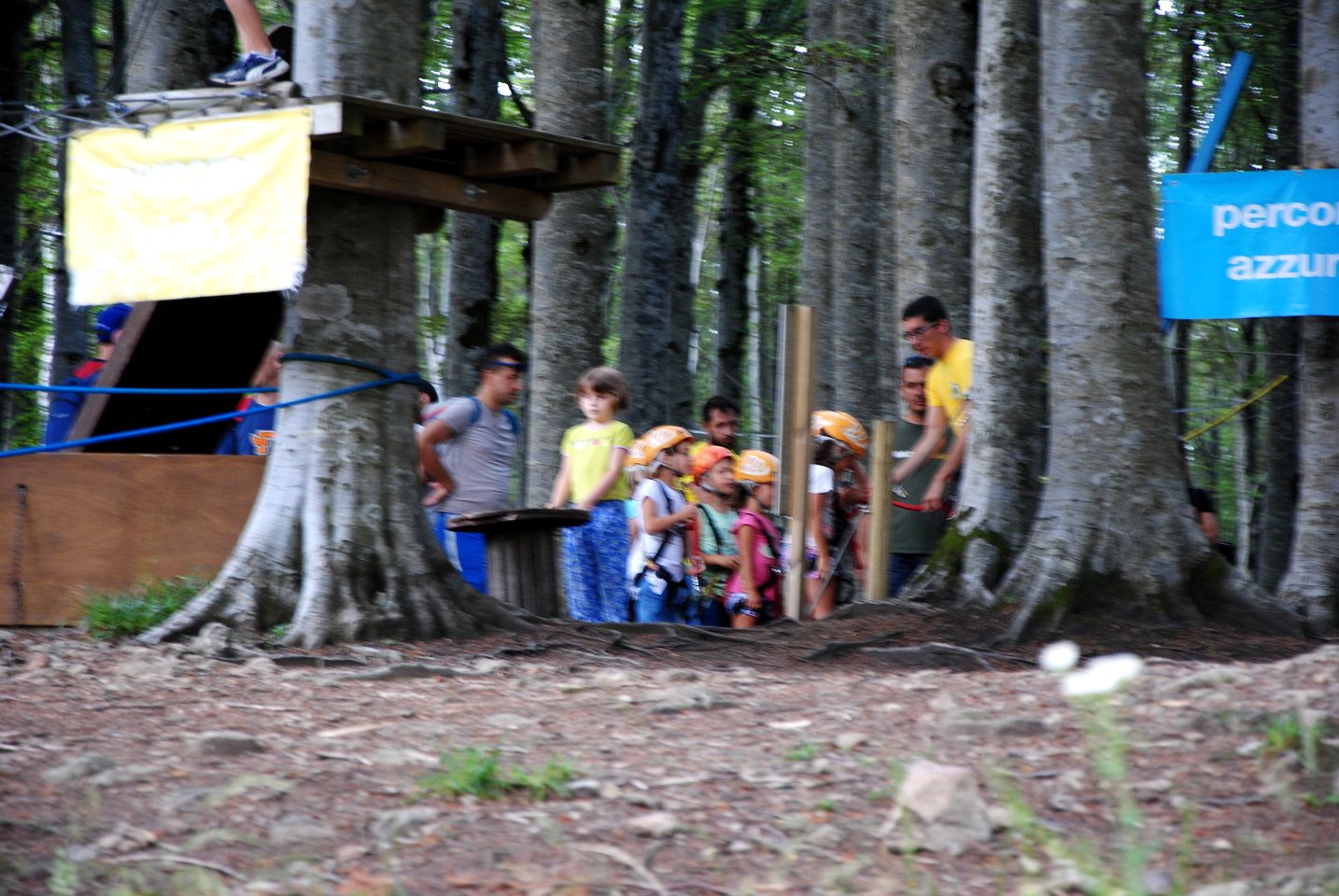 Cozy Vacation Rental Nestled in the Forest in Tuscany, Italy