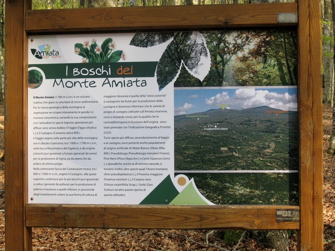 Vacation Rentals (Italy, Castel del Piano, Tuscany)