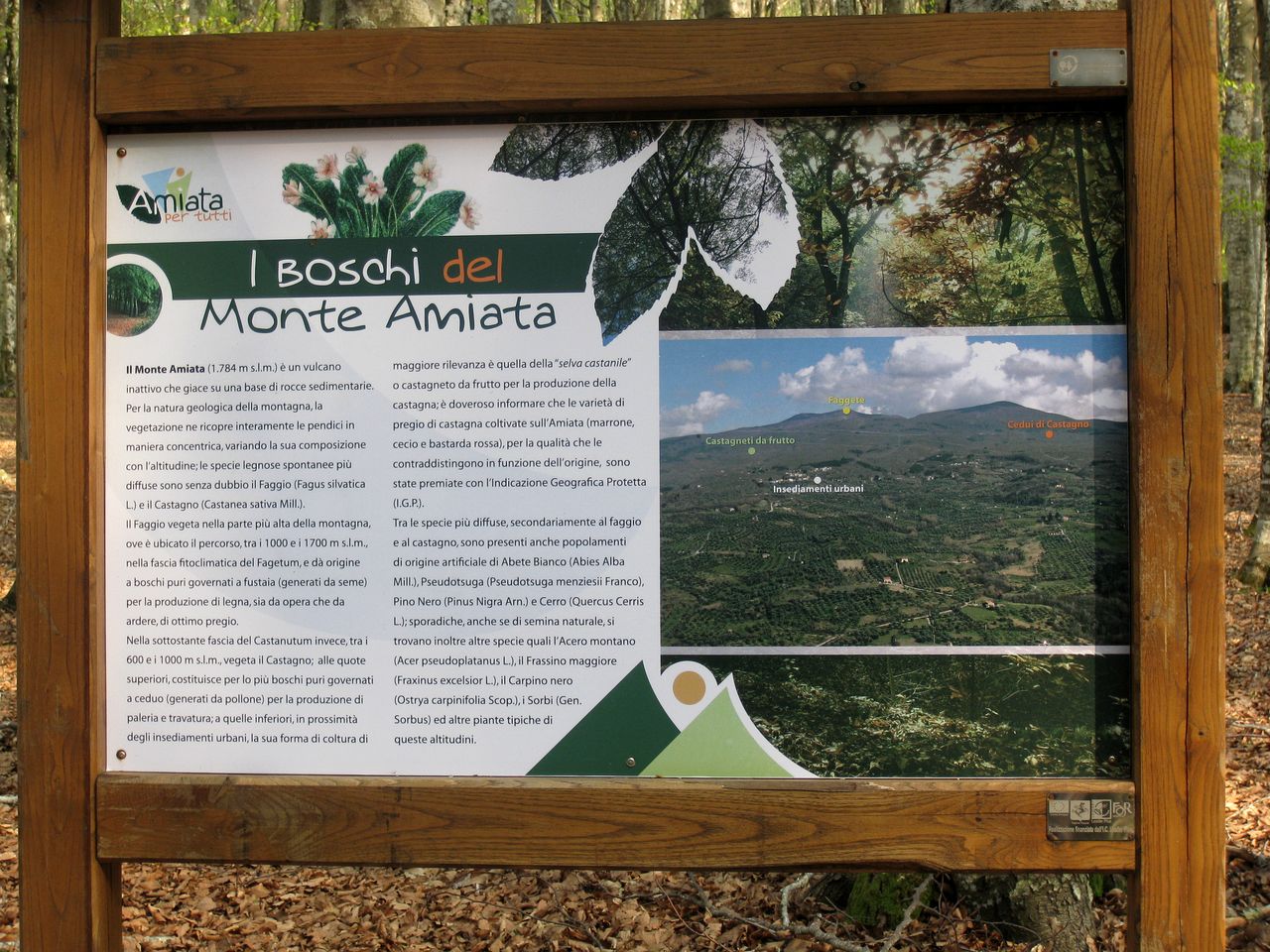 Cozy Vacation Rental Nestled in the Forest in Tuscany, Italy