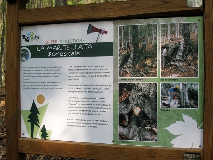 Vacation Rentals (Italy, Castel del Piano, Tuscany)