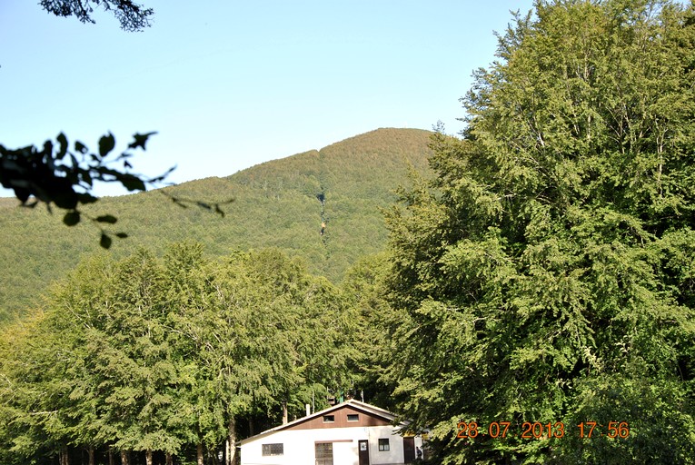 Cozy Vacation Rental Nestled in the Forest in Tuscany, Italy