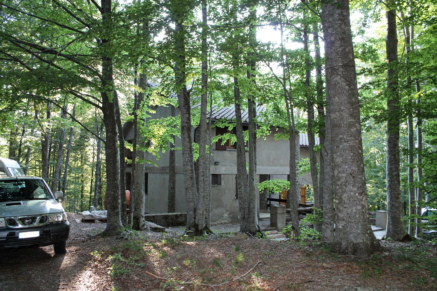 Cozy Vacation Rental Nestled in the Forest in Tuscany, Italy
