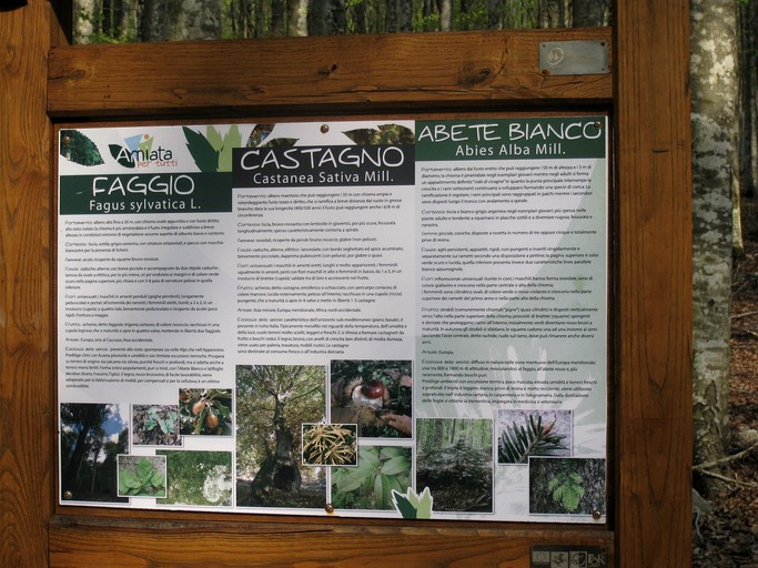 Vacation Rentals (Italy, Castel del Piano, Tuscany)