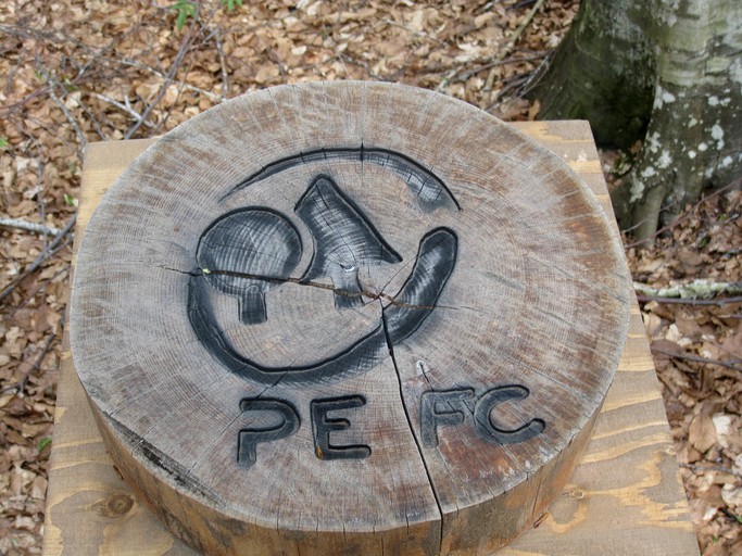 Vacation Rentals (Italy, Castel del Piano, Tuscany)