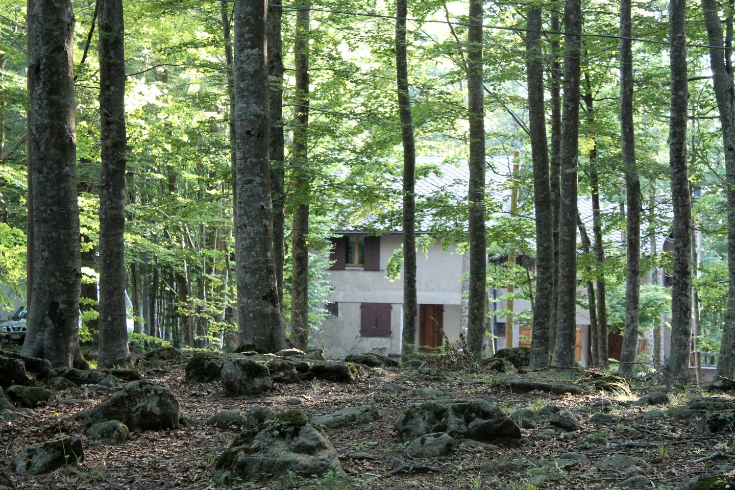 Cozy Vacation Rental Nestled in the Forest in Tuscany, Italy