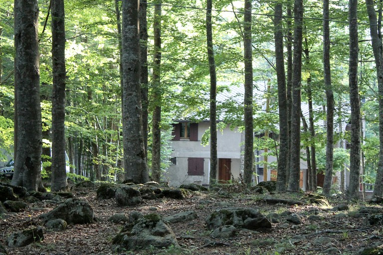 Vacation Rentals (Italy, Castel del Piano, Tuscany)