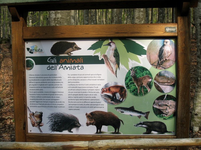 Vacation Rentals (Italy, Castel del Piano, Tuscany)