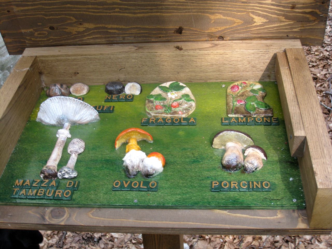 Cozy Vacation Rental Nestled in the Forest in Tuscany, Italy