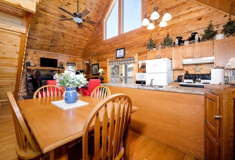 Log Cabins (United States of America, Sevierville, Tennessee)