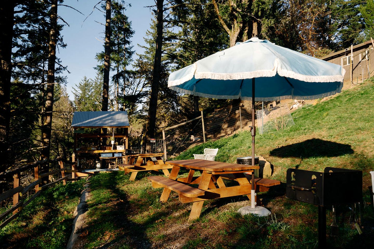 Amazing Safari Tent Nestled in the Trees in Kings Mountain, California
