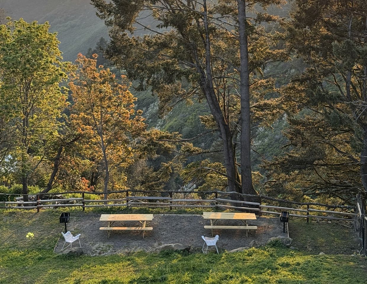 Amazing Safari Tent Nestled in the Trees in Kings Mountain, California