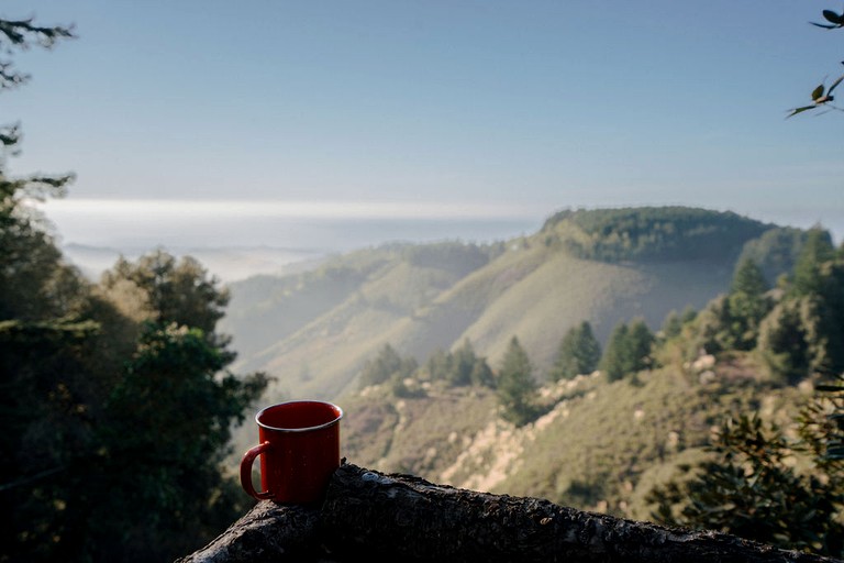 Safari Tents (United States of America, Redwood City, California)