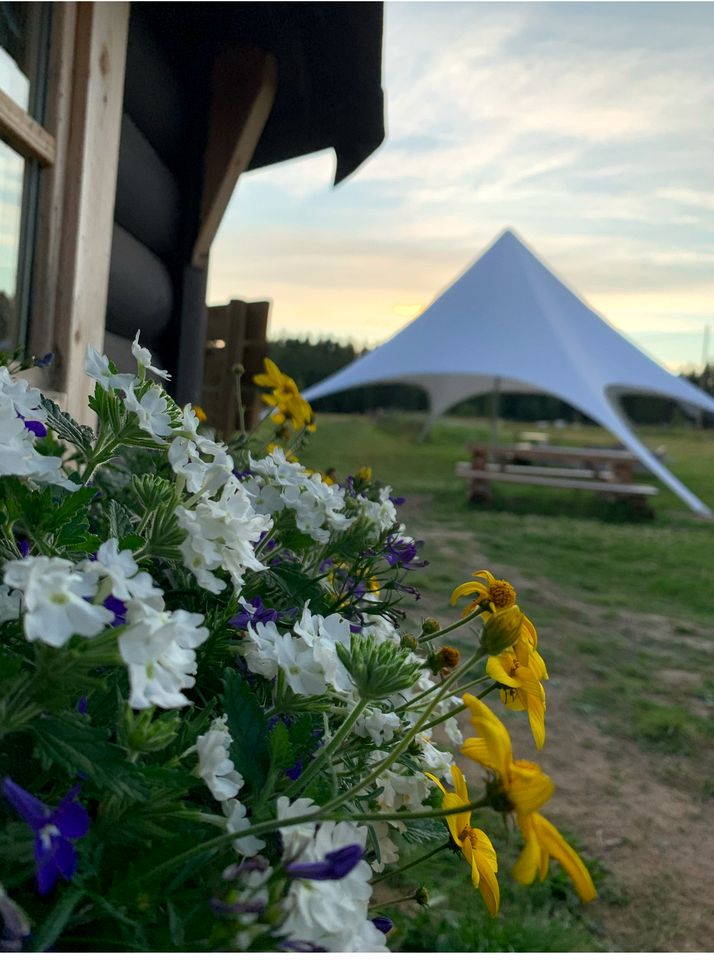 Beautiful Bell Tent on a Sustainable Eco-Friendly Farm for an Amazing Nordic Glamping Getaway near Undrom, Sweden