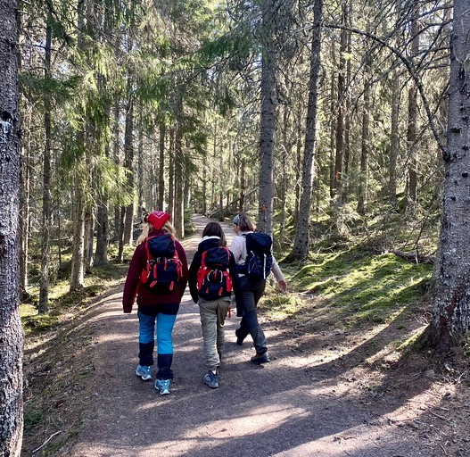 Bell Tents (Sweden, Undrom, Västernorrland)