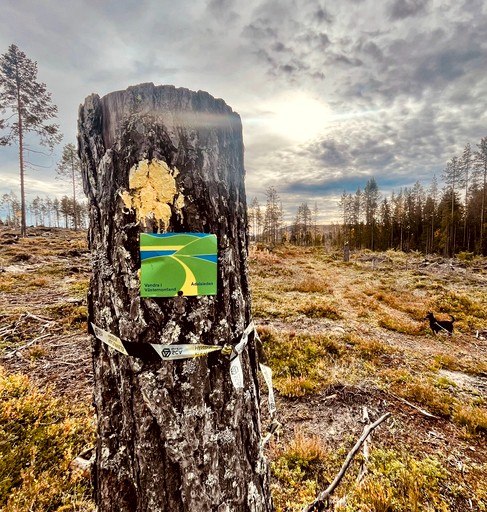 Bell Tents (Sweden, Undrom, Västernorrland)
