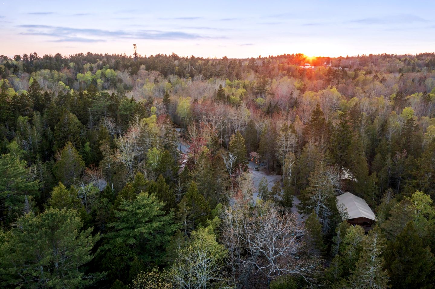 Wheelchair Accessible Glamping Safari Tent in Bar Harbor Maine, Perfect for a Weekend Getaway in the Wilderness