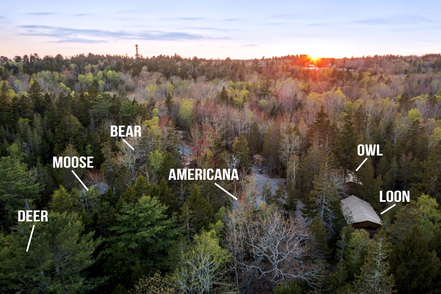 Peaceful Safari Tent Nestled in the Woods of Mount Desert Island, Maine