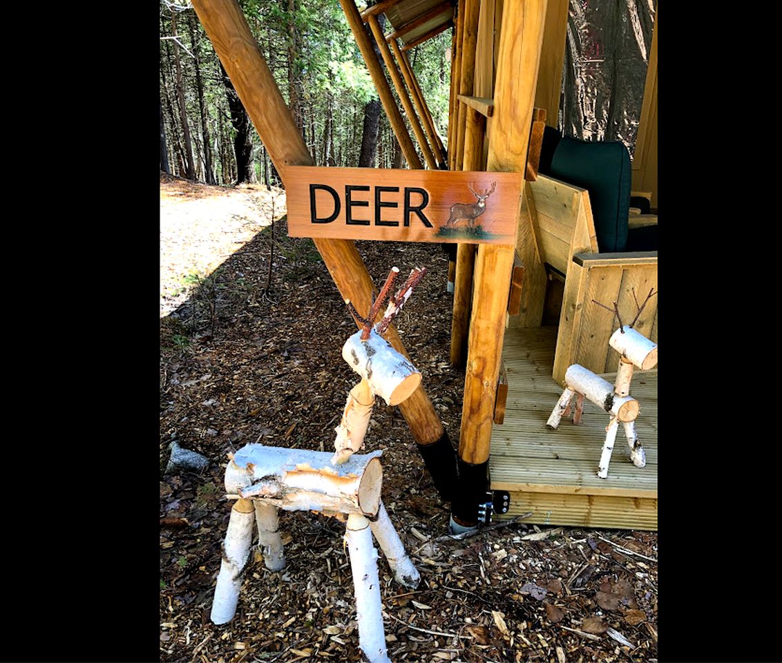 Rustic Family Friendly Safari Tent near Acadia National Park, Maine