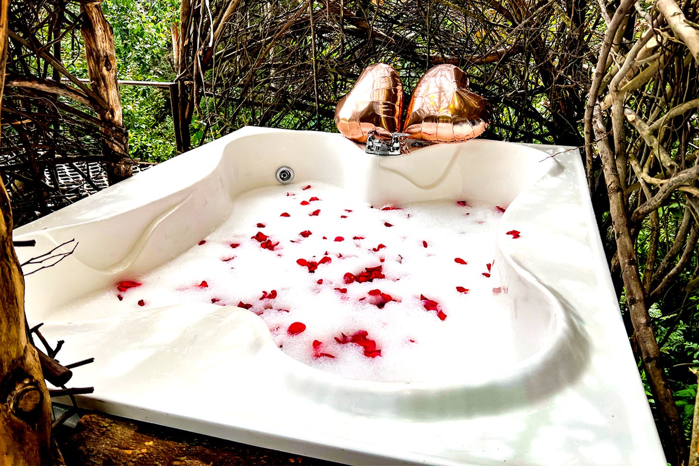 Enchanting Glamping Dome with Jacuzzi & Stargazing Views in Carchi, Ecuador