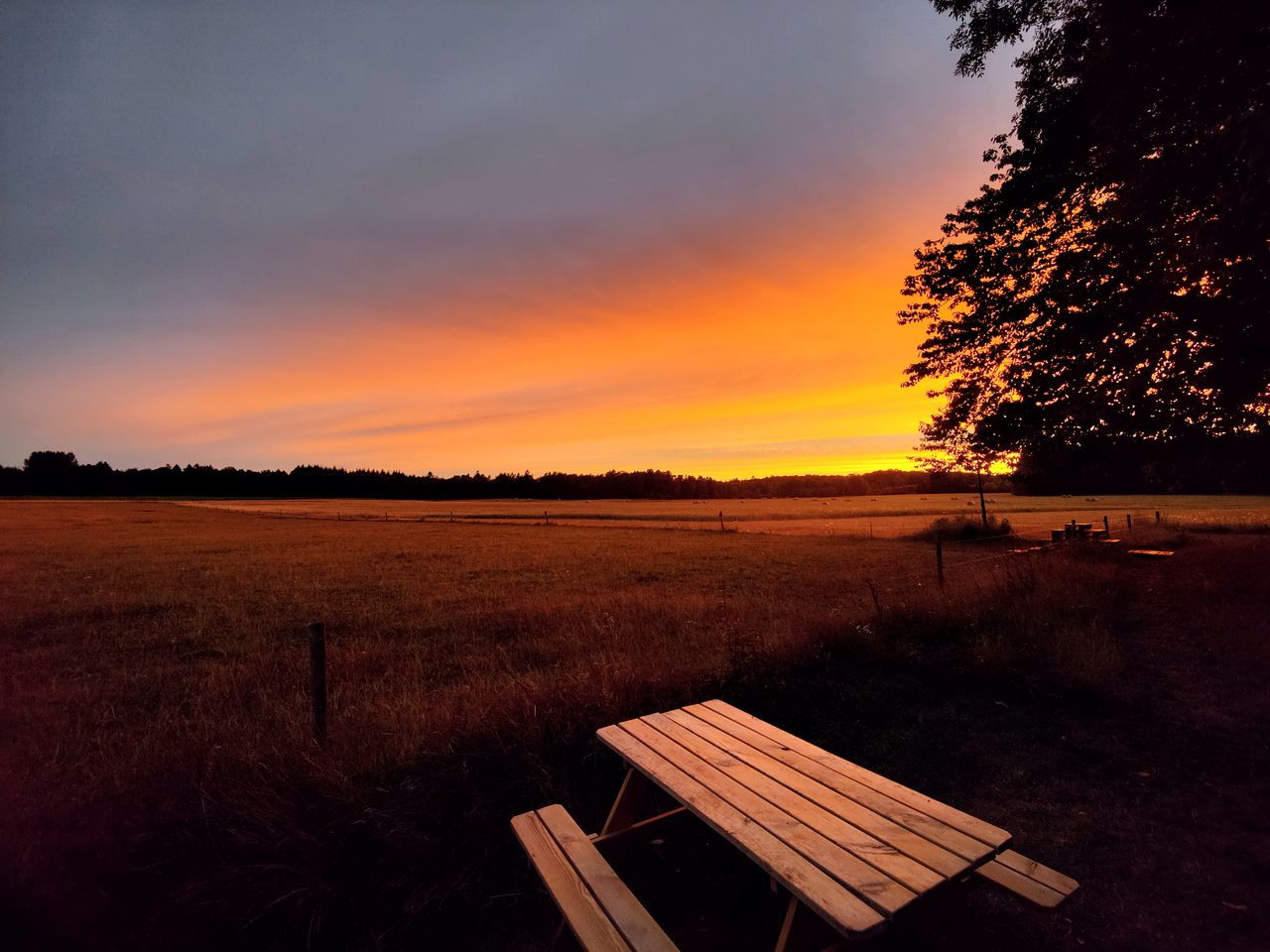 Tranquil Glamping Tent Surrounded by Wildlife for a Unique Outdoor Getaway in Bornholm, Denmark