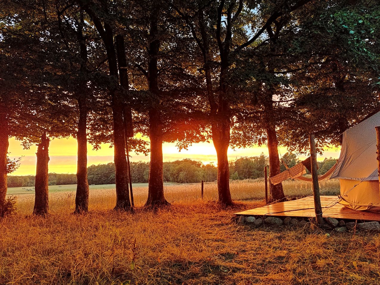 Tranquil Glamping Tent Surrounded by Wildlife for a Unique Outdoor Getaway in Bornholm, Denmark