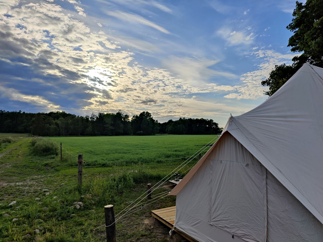 Relaxing Glamping Tent Surrounded by Nature in Bornholm, Denmark