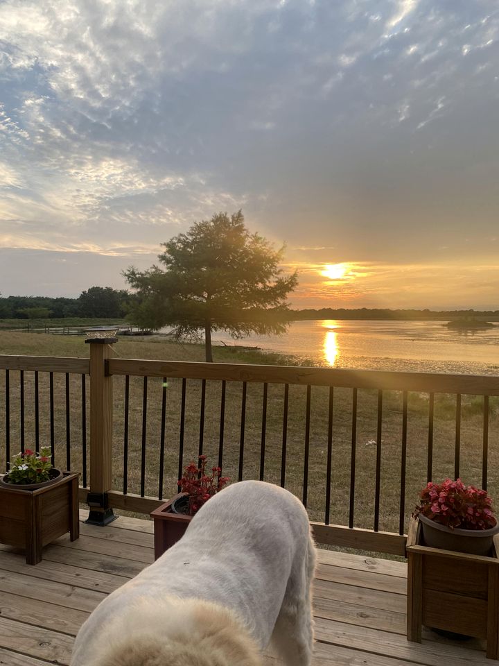 Cozy Safari Tent with Gorgeous Lake Views in Lone Oak, Texas