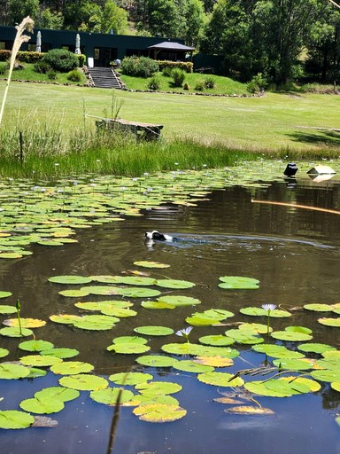 Safari Tents (Australia, --, --)