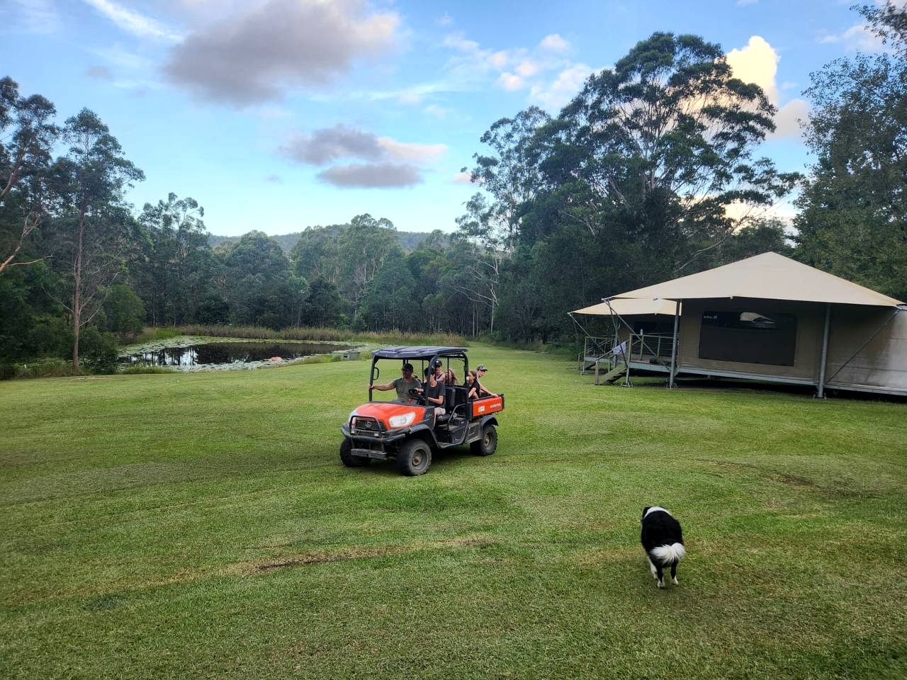 Peaceful Safari Tent on a Serene Retreat in Warranulla, New South Wales