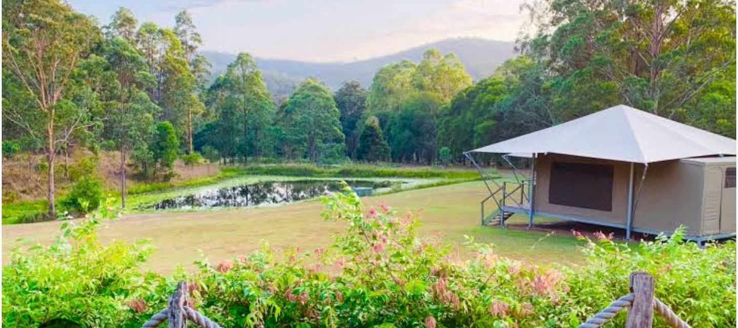 Peaceful Safari Tent on a Serene Retreat in Warranulla, New South Wales