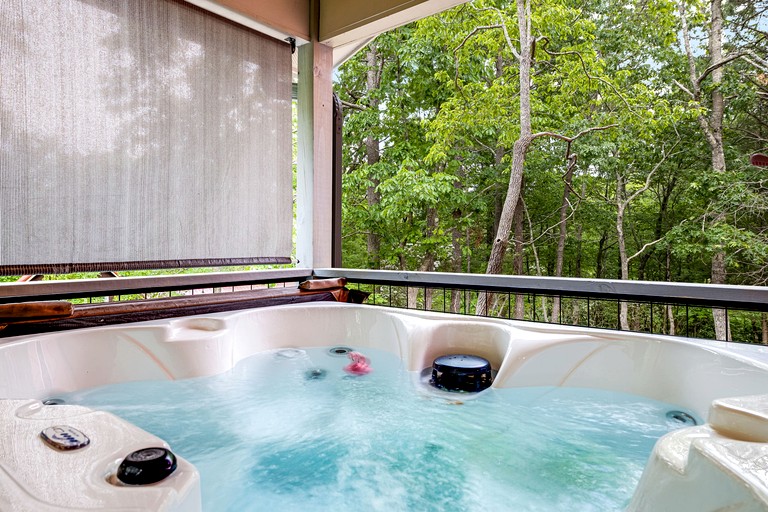 Vacation Rentals (United States of America, Black Mountain, North Carolina)