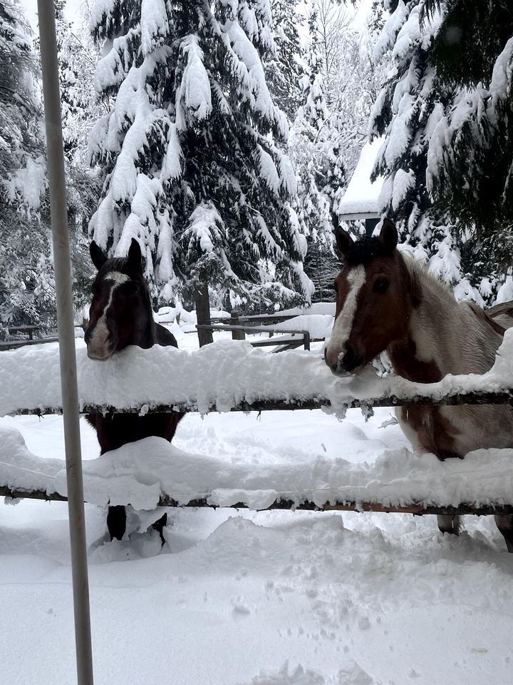 Incredible Remodeled Caboose, Pet-Friendly and Central to Outdoor Activities for an Amazing Family Getaway in Sandpoint, Idaho
