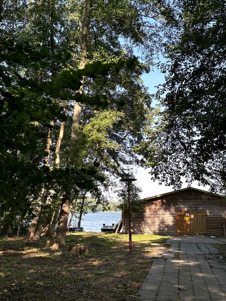 Charming Dome by the Lake for a Unique Glamping Experience in Brandenburg, Germany