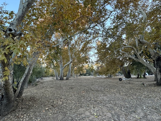 Vacation Rentals (United States of America, Camp Verde, Arizona)