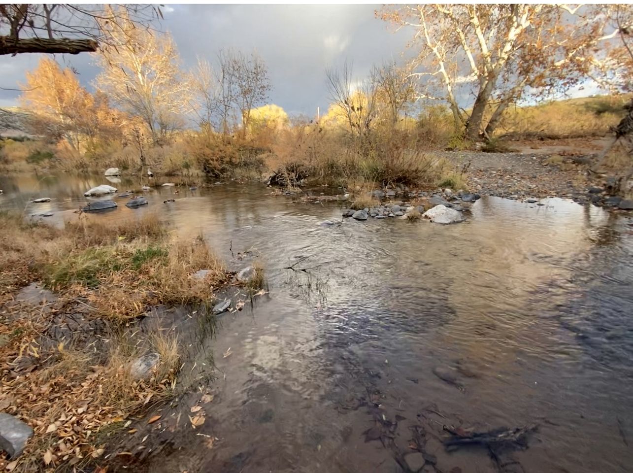 Cozy Creekside Cottage with Deck and Fire Pit in Camp Verde, Arizona