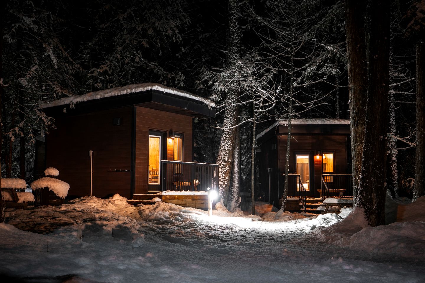Charming Forest Bunkie with Mountain Views & Firepit near Revelstoke, British Columbia
