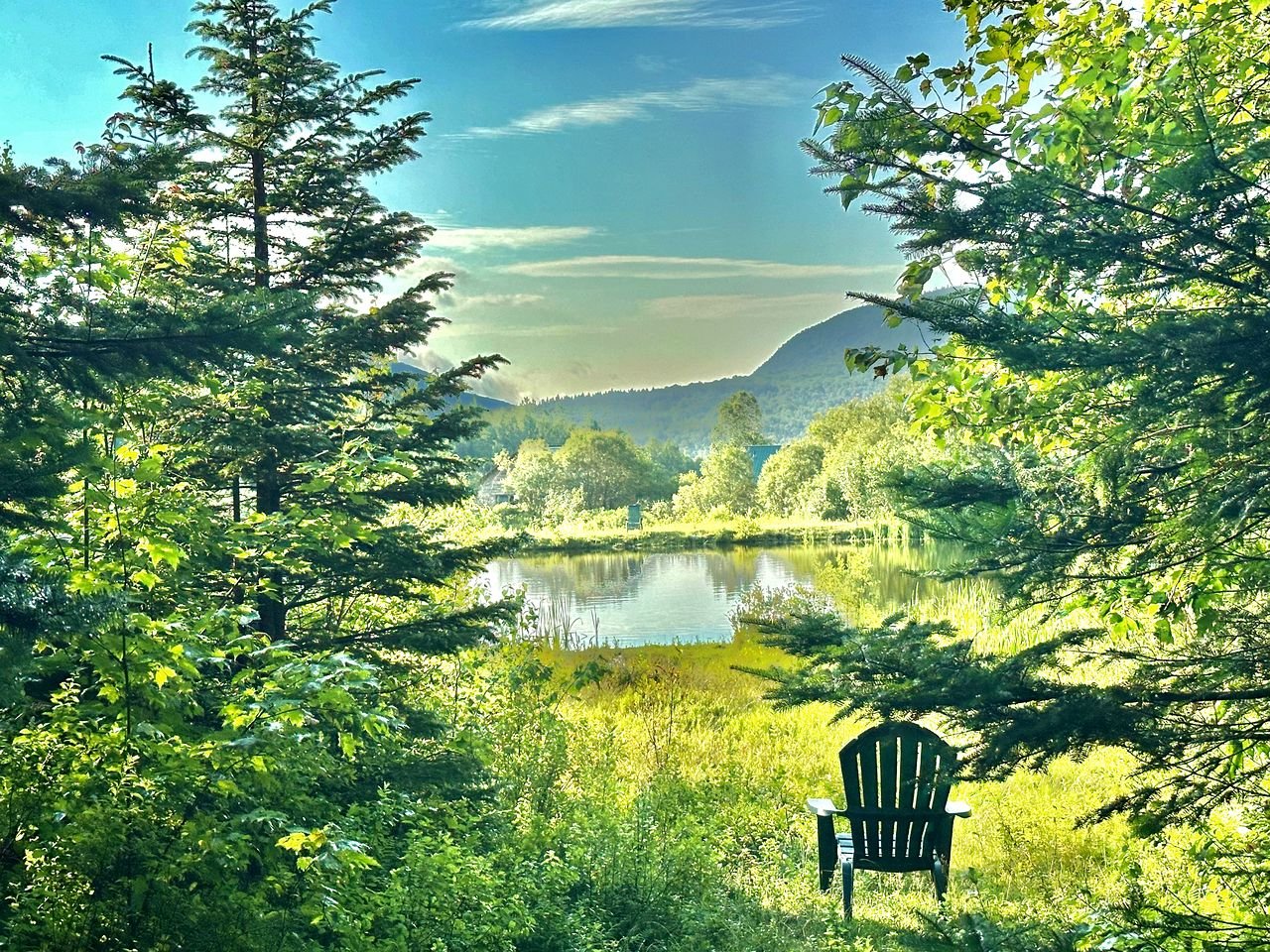 Cozy Off-Grid Cabin with Breathtaking Serene Views for a Peaceful Getaway Surrounded by Nature in Barton, Vermont