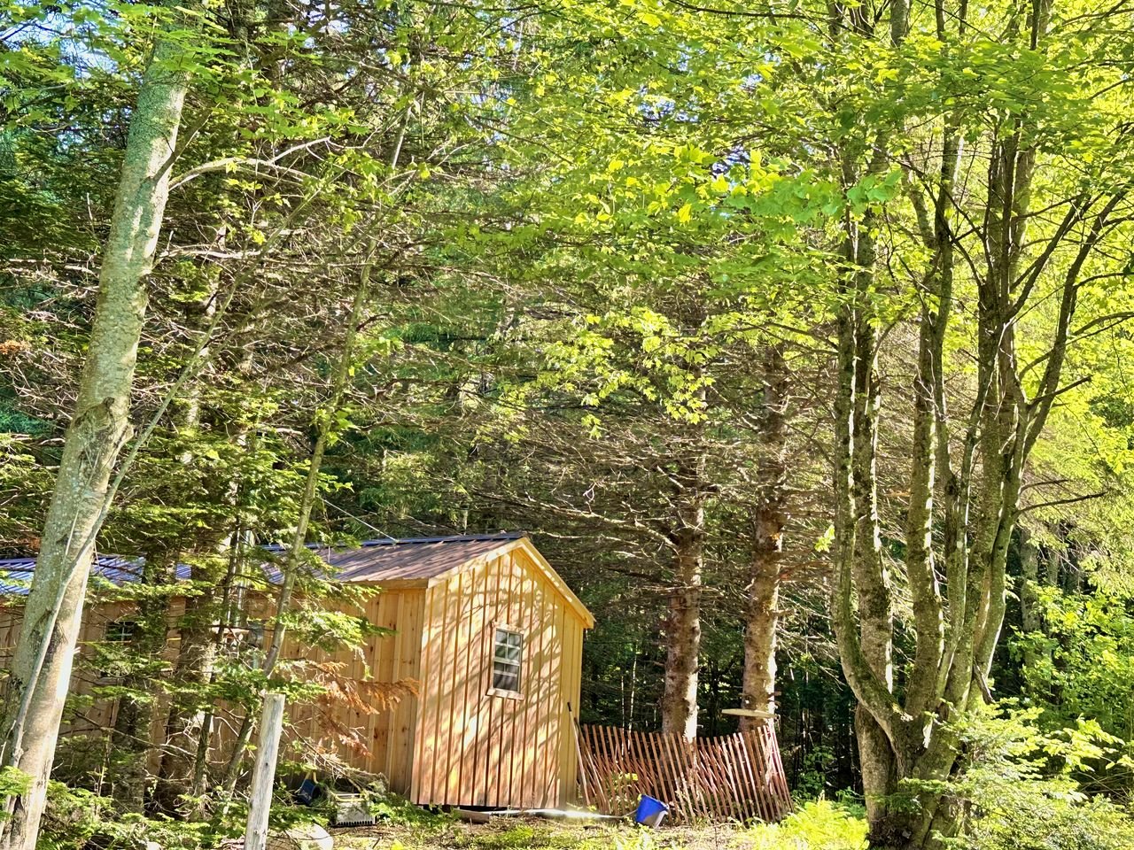Cozy Off-Grid Cabin with Breathtaking Serene Views for a Peaceful Getaway Surrounded by Nature in Barton, Vermont