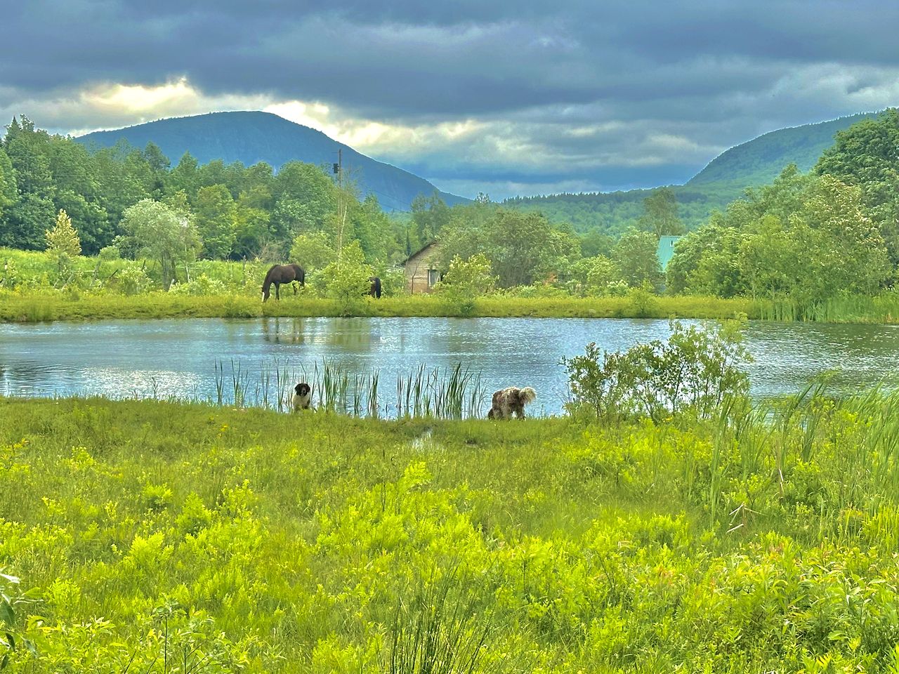 Cozy Off-Grid Cabin with Breathtaking Serene Views for a Peaceful Getaway Surrounded by Nature in Barton, Vermont