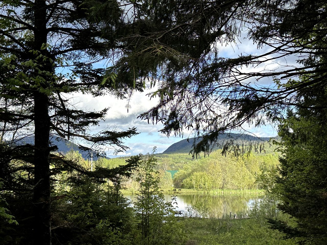 Cozy Off-Grid Cabin with Breathtaking Serene Views for a Peaceful Getaway Surrounded by Nature in Barton, Vermont