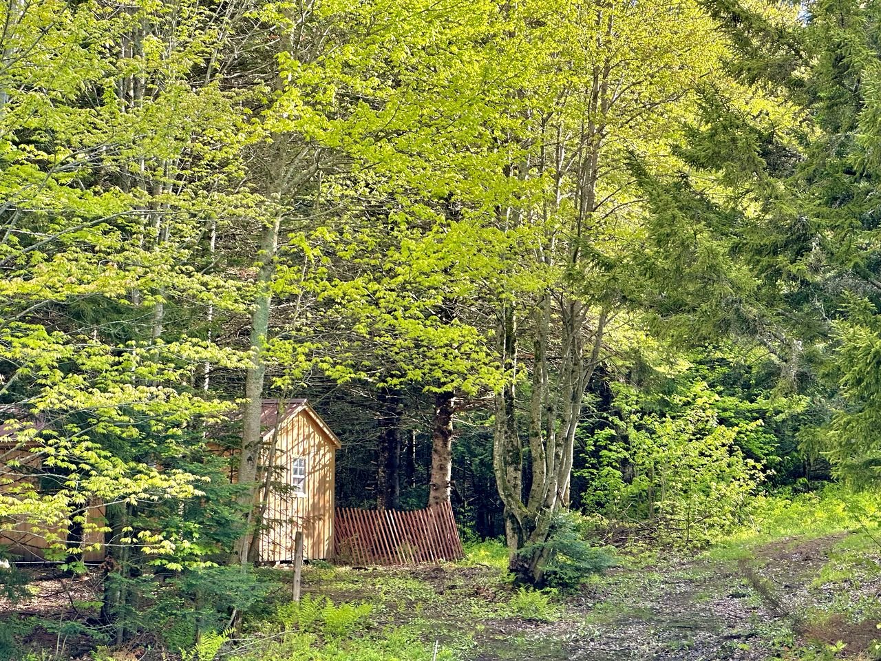 Cozy Off-Grid Cabin with Breathtaking Serene Views for a Peaceful Getaway Surrounded by Nature in Barton, Vermont