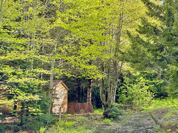 Cabins (United States of America, Barton, Vermont)