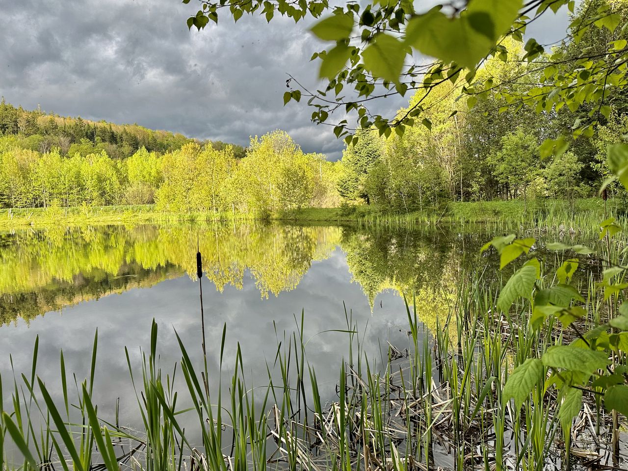 Cozy Off-Grid Cabin with Breathtaking Serene Views for a Peaceful Getaway Surrounded by Nature in Barton, Vermont